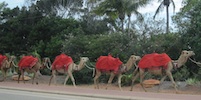 The Kimberley 2013 Tour